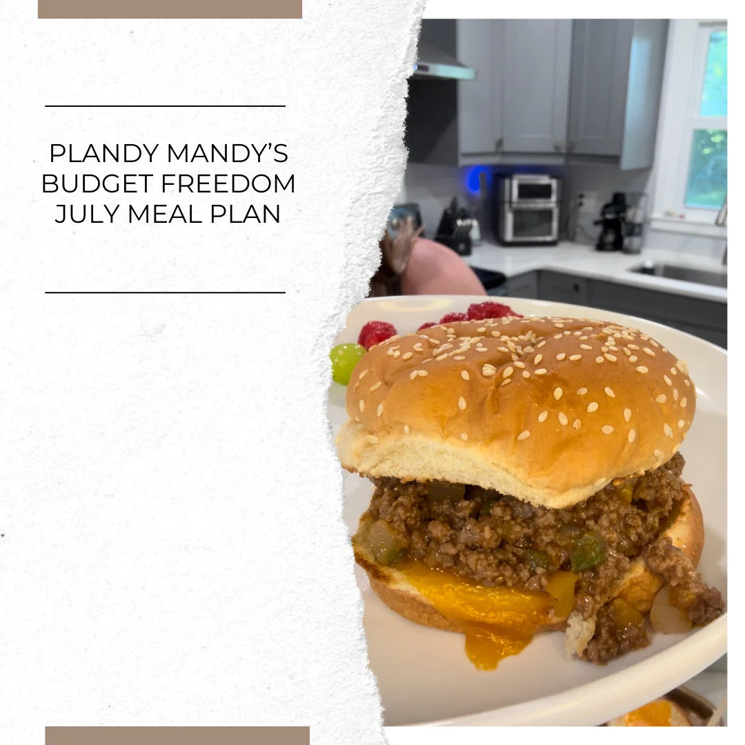 High Protein Budget Freedom Meal Plan | Etsy (US)