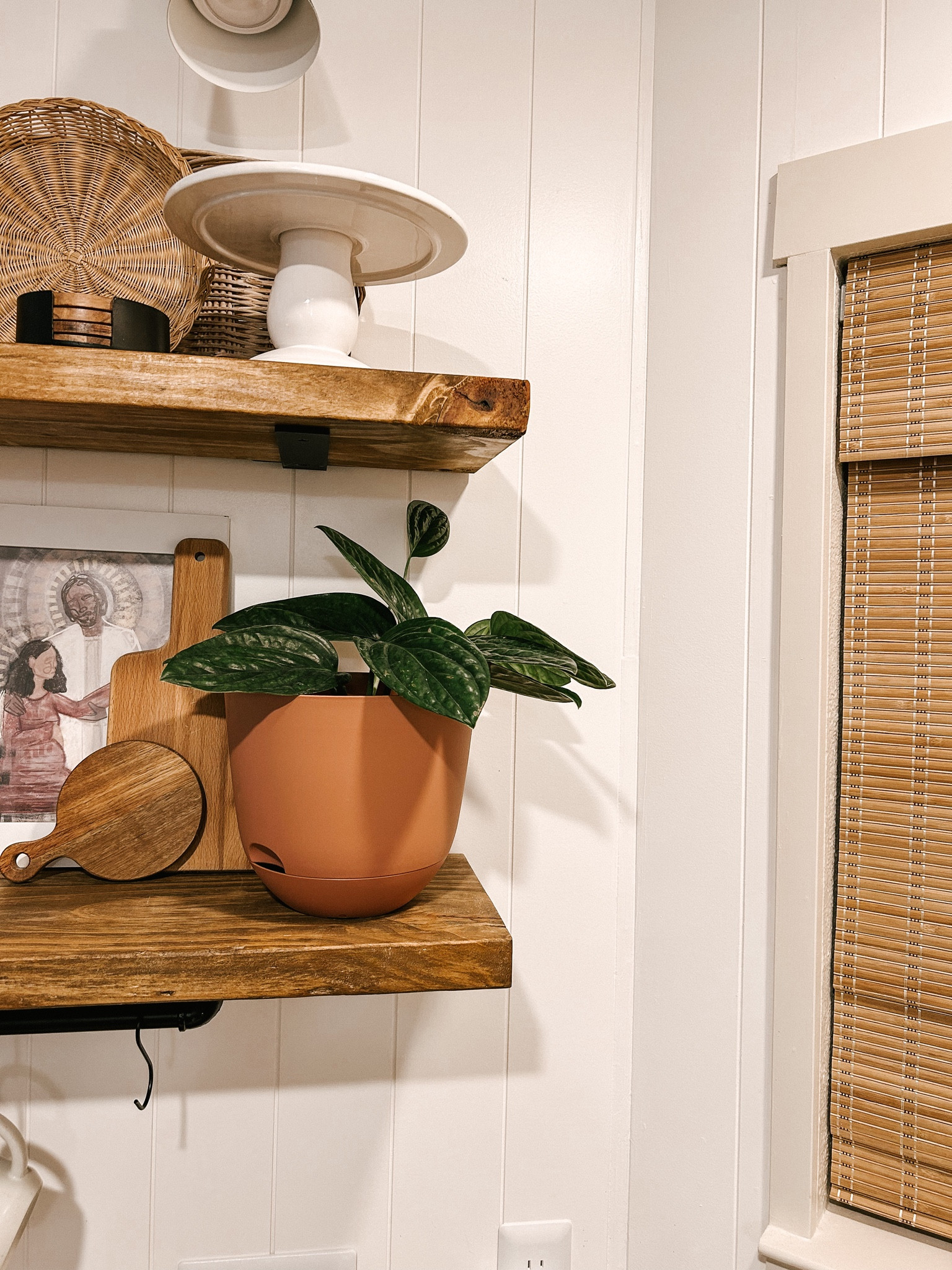 My favorite things for my indoor plants! 🪴

#LTKhome #LTKfindsunder50 #LTKSeasonal