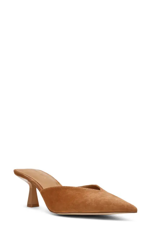 Steve Madden Mod Pointed Toe Mule Pump in Chestnut Suede at Nordstrom, Size 7 | Nordstrom