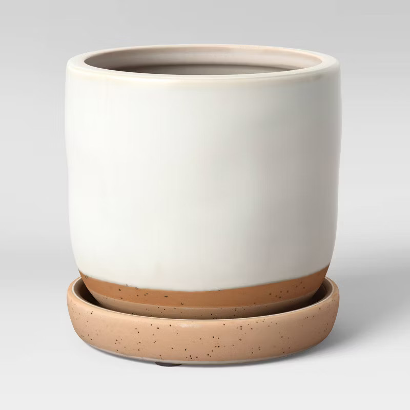 Indoor/Outdoor Earthenware Planter - Smith & Hawken™ | Target