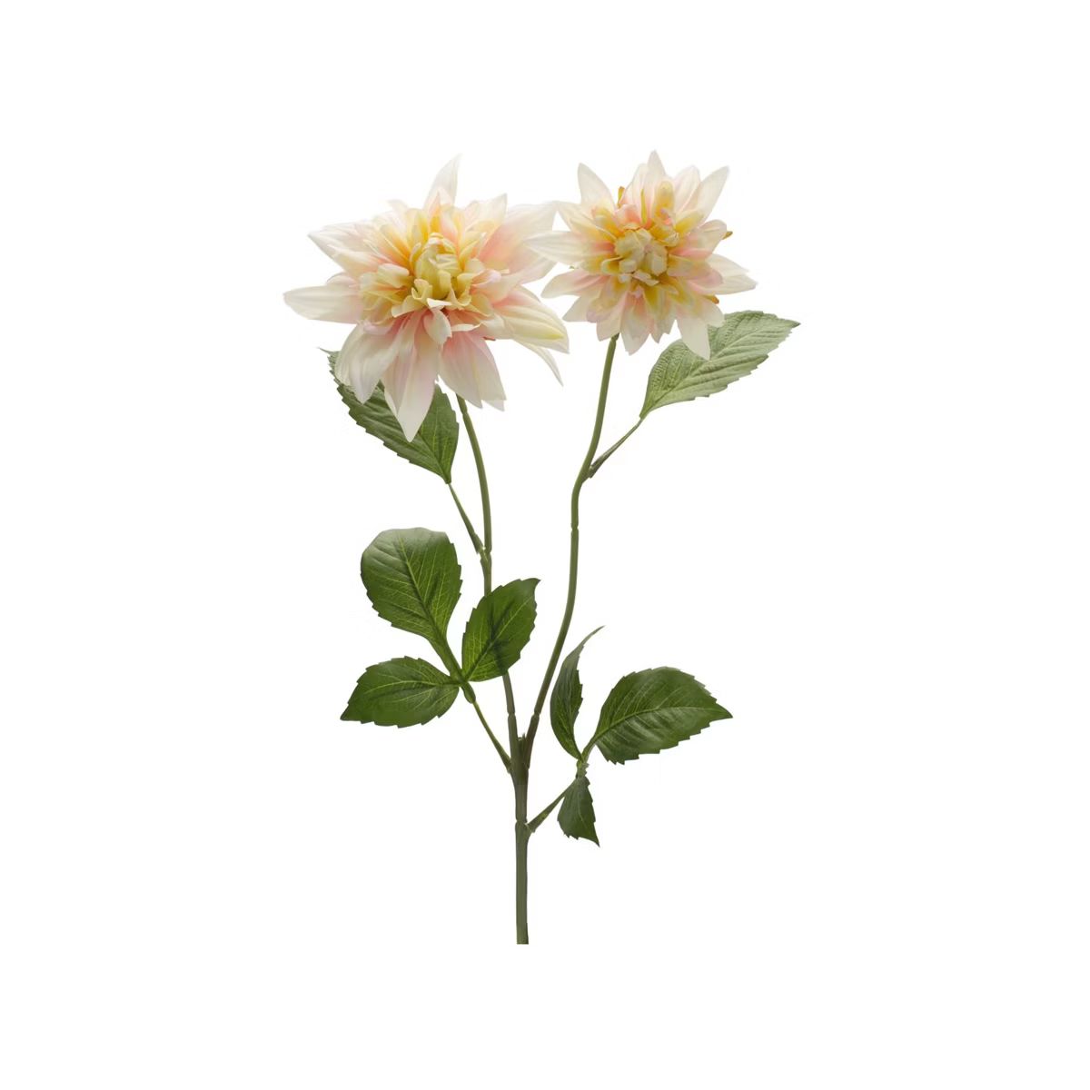 Melrose Dahlia Flower Stem (Set of 6) | Target