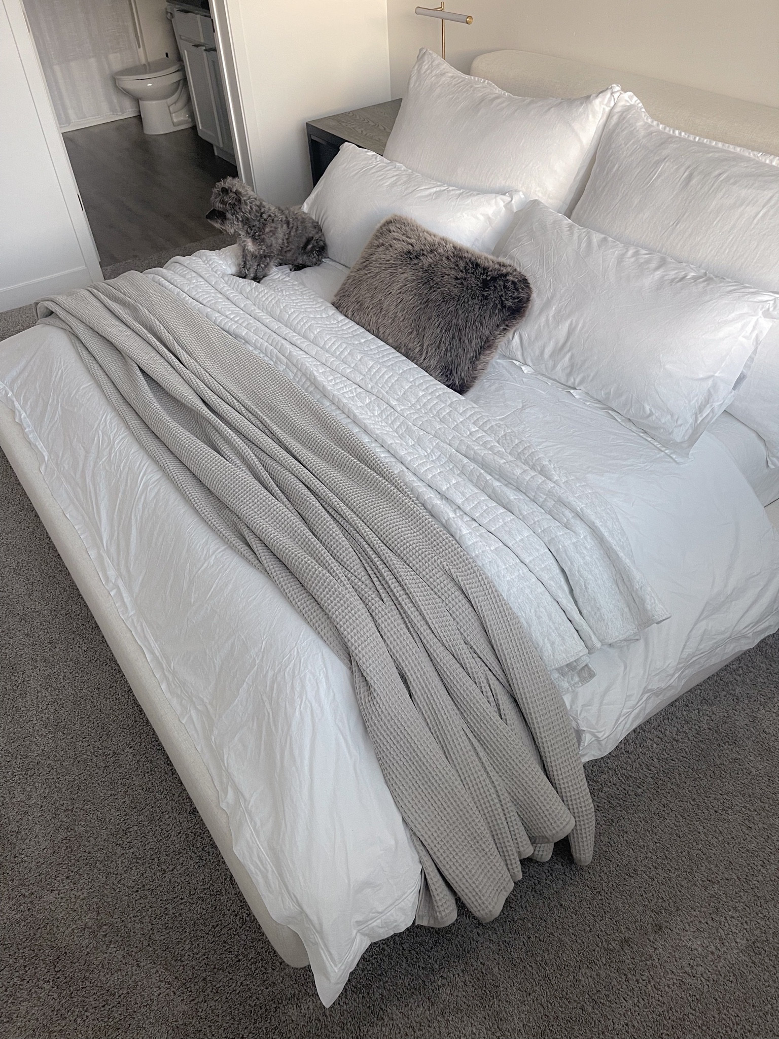 🖤🖤🖤 𝘴𝘩𝘢𝘳𝘪𝘯𝘨 𝘵𝘩𝘦 𝘯𝘦𝘸 𝘥𝘶𝘷𝘦𝘵! 𝘐𝘵 𝘸𝘢𝘴 𝘵𝘩𝘦 𝘭𝘢𝘴𝘵 𝘱𝘪𝘦𝘤𝘦 𝘐 𝘸𝘢𝘴 𝘸𝘢𝘪𝘵𝘪𝘯𝘨 𝘰𝘯 𝘵𝘰 𝘤𝘰𝘮𝘱𝘭𝘦𝘵𝘦 𝘵𝘩𝘦 𝘭𝘰𝘰𝘬. 𝘐’𝘮 𝘴𝘰 𝘩𝘢𝘱𝘱𝘺 𝘸𝘪𝘵𝘩 𝘪𝘵! 𝘖𝘯𝘦 𝘰𝘧 𝘮𝘺 𝘧𝘢𝘷𝘰𝘳𝘪𝘵𝘦 𝘧𝘦𝘢𝘵𝘶𝘳𝘦𝘴 𝘪𝘴 𝘵𝘩𝘦 𝘧𝘭𝘢𝘯𝘨𝘦 𝘥𝘦𝘵𝘢𝘪𝘭𝘪𝘯𝘨 𝘰𝘯 𝘵𝘩𝘦 𝘦𝘯𝘥𝘴. 𝘛𝘩𝘪𝘴 𝘥𝘶𝘷𝘦𝘵 𝘪𝘴 𝘵𝘩𝘦 𝘐𝘵𝘢𝘭𝘪𝘢𝘯 𝘗𝘦𝘳𝘤𝘢𝘭𝘦 𝘧𝘳𝘰𝘮 𝘙𝘏, 𝘣𝘶𝘵 𝘐’𝘷𝘦 𝘭𝘪𝘯𝘬𝘦𝘥 𝘴𝘰𝘮𝘦 𝘮𝘰𝘳𝘦 𝘢𝘧𝘧𝘰𝘳𝘥𝘢𝘣𝘭𝘦 𝘥𝘶𝘱𝘦𝘴. 𝘈𝘭𝘭 𝘣𝘦𝘥𝘥𝘪𝘯𝘨 𝘪𝘴 𝘧𝘳𝘰𝘮 𝘙𝘏 𝘦𝘹𝘤𝘦𝘱𝘵 𝘧𝘰𝘳 𝘵𝘩𝘦 𝘣𝘭𝘢𝘯𝘬𝘦𝘵𝘴 𝘢𝘯𝘥 𝘧𝘶𝘳 𝘱𝘪𝘭𝘭𝘰𝘸. 𝘛𝘩𝘦 𝘧𝘶𝘳 𝘱𝘪𝘭𝘭𝘰𝘸 𝘪𝘴 𝘯𝘰 𝘭𝘰𝘯𝘨𝘦𝘳 𝘪𝘯 𝘴𝘵𝘰𝘤𝘬 𝘪𝘯 𝘣𝘳𝘰𝘸𝘯 𝘣𝘶𝘵 𝘐’𝘷𝘦 𝘭𝘪𝘯𝘬𝘦𝘥 𝘵𝘩𝘦𝘪𝘳 𝘢𝘷𝘢𝘪𝘭𝘢𝘣𝘭𝘦 𝘤𝘰𝘭𝘰𝘳𝘴 𝘣𝘦𝘭𝘰𝘸.

#LTKSeasonal #LTKhome #LTKstyletip