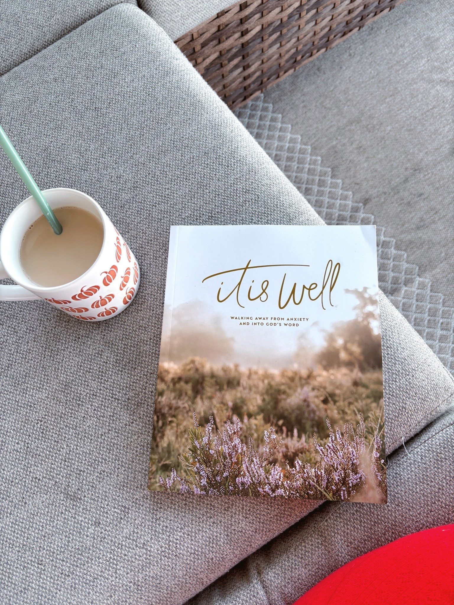 The other Bible study on anxiety that I’ve been reading right now! I’ve been trying to read one first thing in the morning with my coffee & the other in the afternoon while archer plays on the porch! :)



#LTKFamily #LTKHome