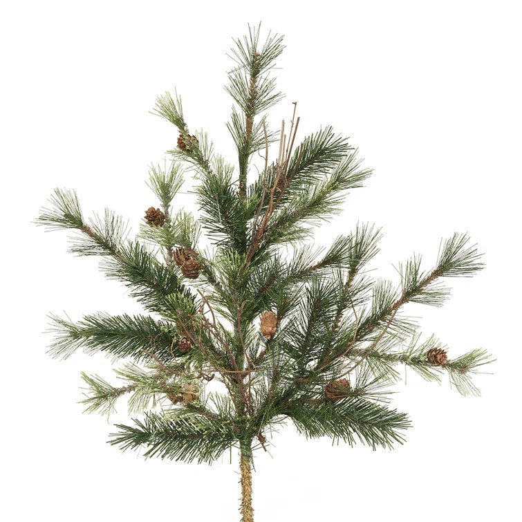Pine Arrangement | Wayfair North America