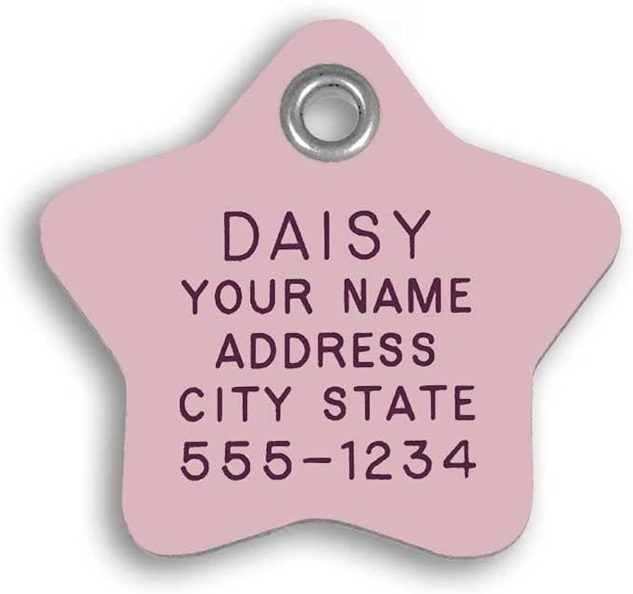 Durable Plastic Pet ID Tag, Outlasts Cheap Aluminum Tags for The Same Price, Custom Engraved, Med... | Amazon (US)