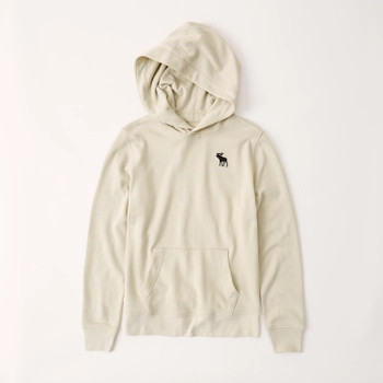 lightweight icon hoodie | Abercrombie & Fitch (US)
