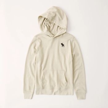 lightweight icon hoodie | Abercrombie & Fitch (US)