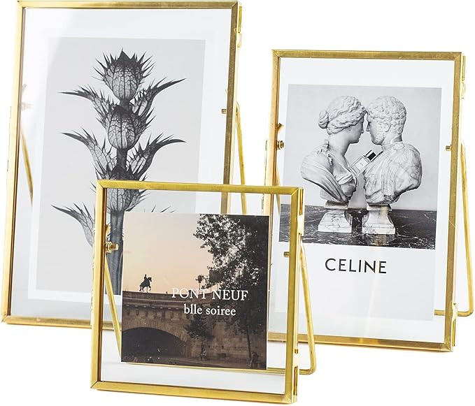 Set of 3 Glass Pressed Flowers Frame Collection, 4"x4", 4"x6", 5"x7" Gold Metal Floating Standing... | Amazon (US)