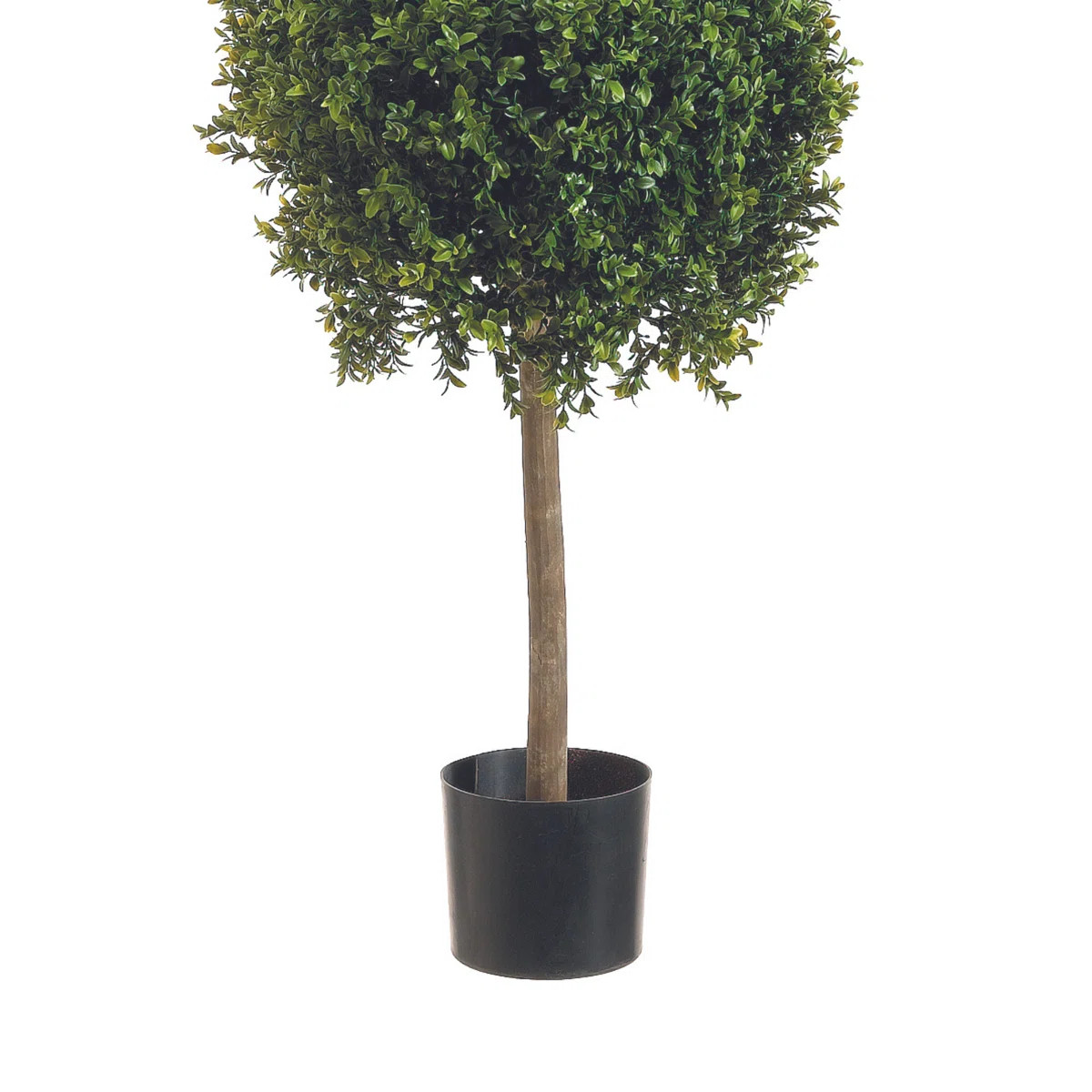 Weatherhill Elspeth 4.5' Faux Boxwood Topiary | Wayfair North America