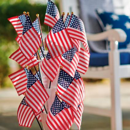 Set of 25 Parade Flags | Grandin Road | Grandin Road