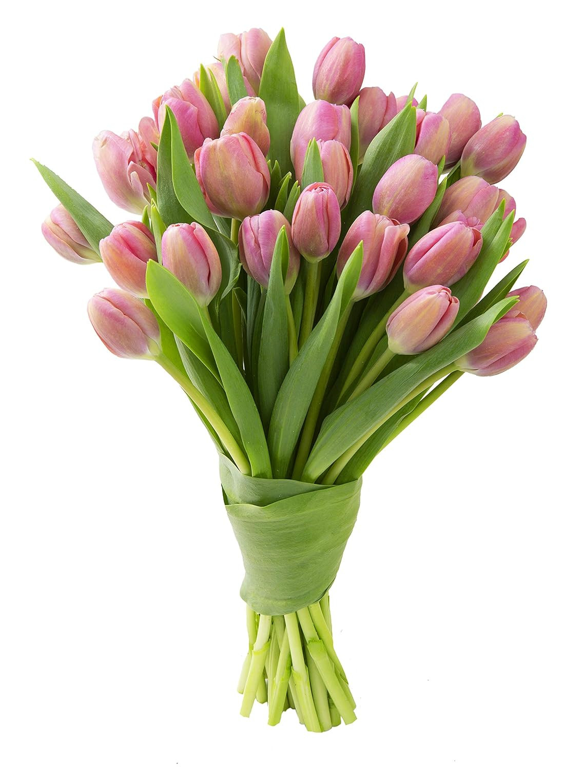 Blooms2Door Flowers - Valentine Collection - 30 Pink Tulips (Farm-Fresh) without vase . Gift for ... | Amazon (US)