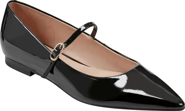 Daner Pointed Toe Flat (Women) | Nordstrom