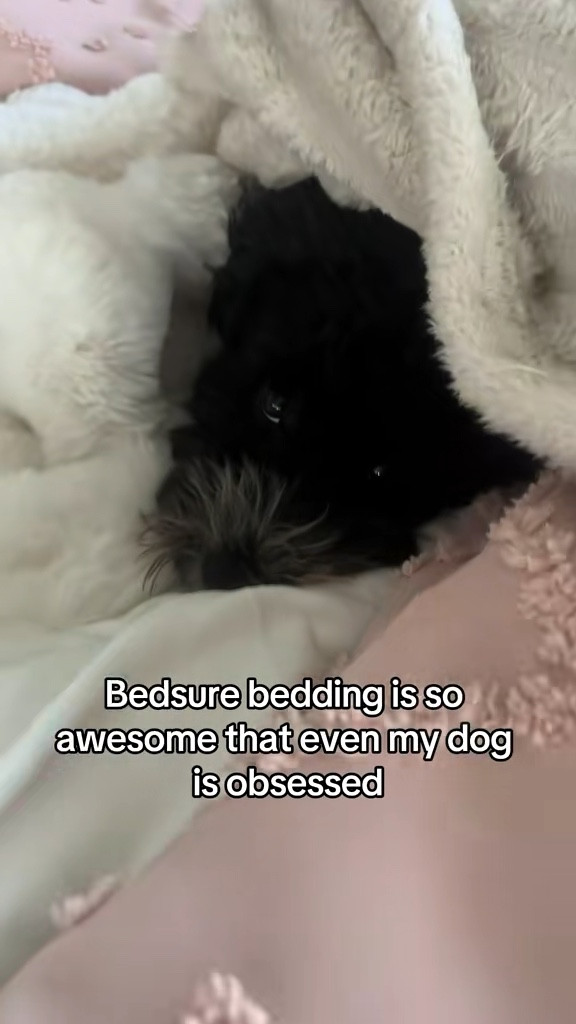 Bedding the whole family loves #bedsure #bedding

#LTKFindsUnder50 #LTKFamily #LTKHome