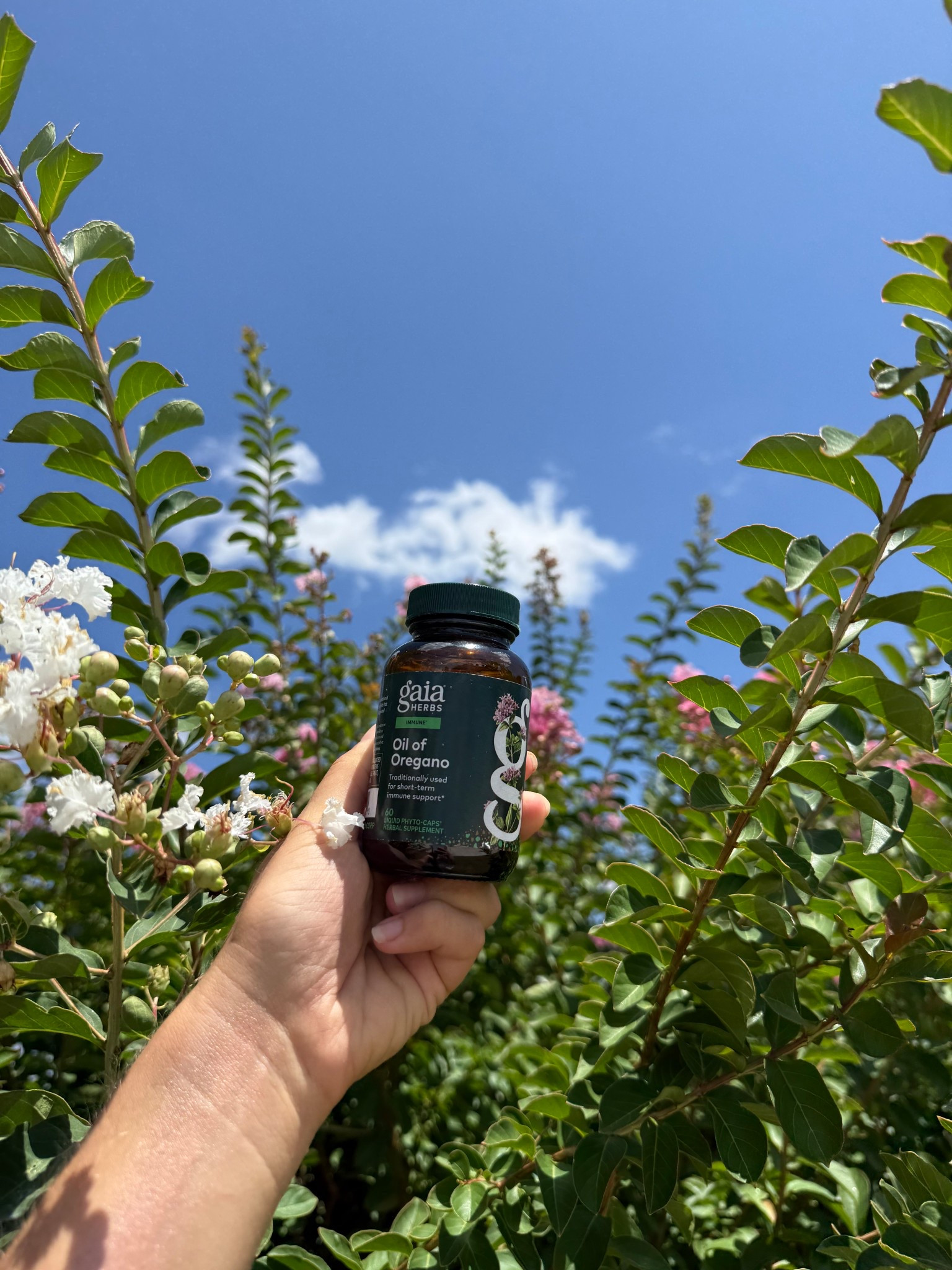 These have been a dream this summer for immune support and keeping my body feeling happy!❣️ I love adding these to my morning vitamin routine!🫶🏼

#LTKBeauty #LTKU #LTKSeasonal