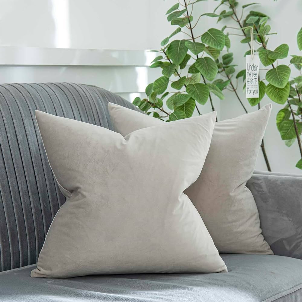 Cashmere Decorative Velvet Throw Pillow Covers 20x20 inch Set of 2 with Zipper Luxury Soft Solid ... | Amazon (US)