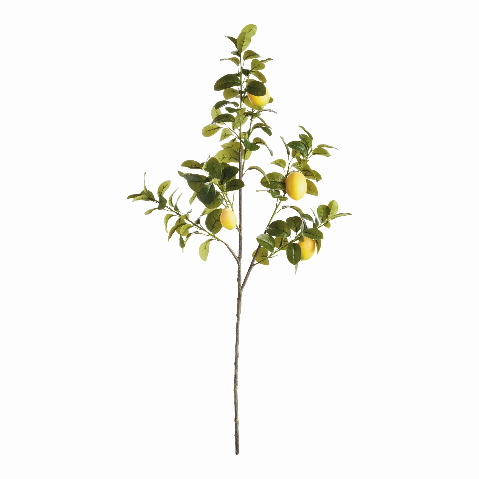 Artificial Lemon Branches - Set of 2 | Gorgeous Living