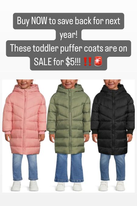 Toddler puffer coat on sale for $5 

#LTKSeasonal #LTKsalealert #LTKkids