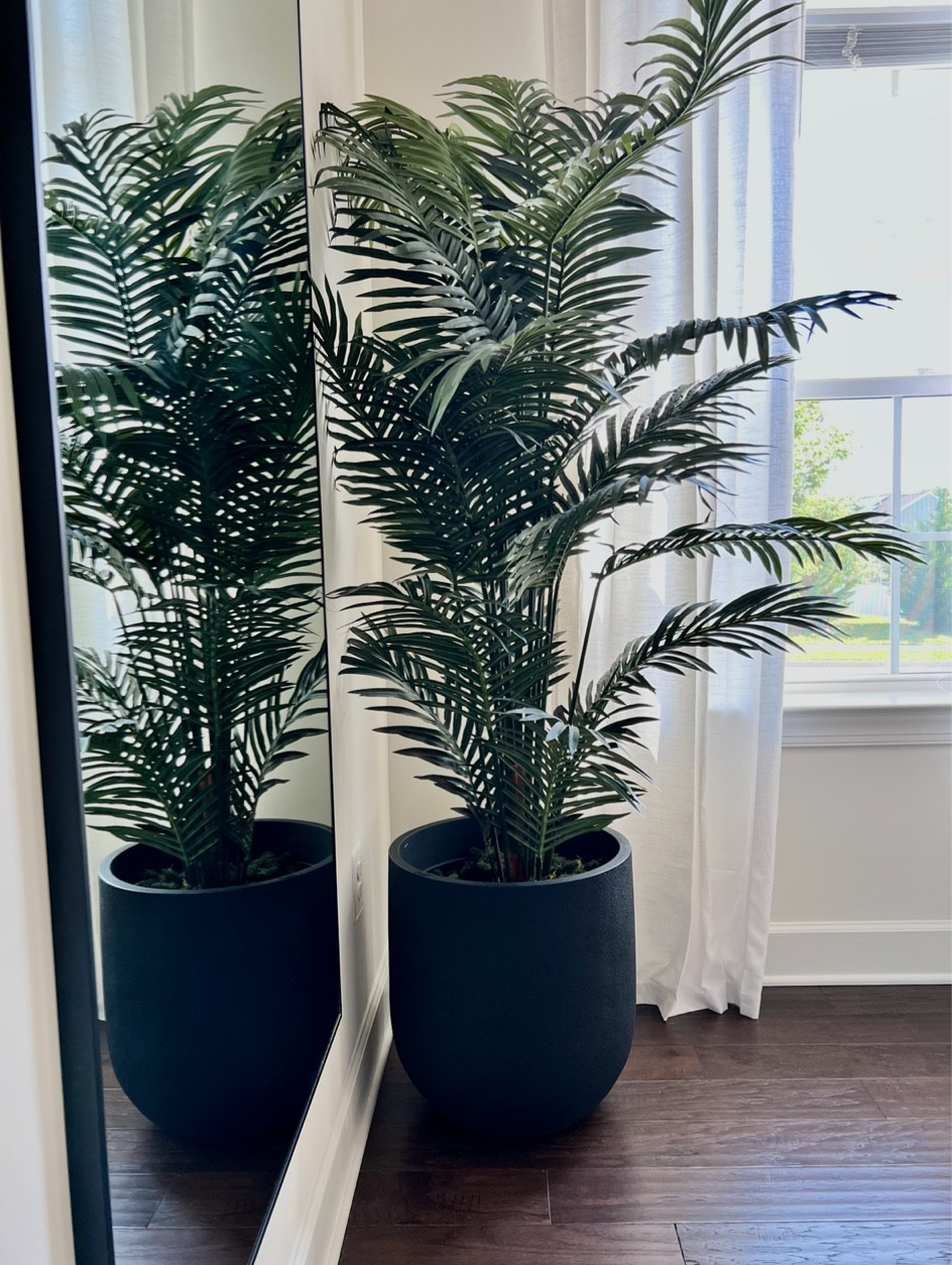 Faux or real?! The best faux trees on amazon! 
Pottery barn Restoration Hardware, CB to crate and barrel Amazon home decor  #minimalisthome #minimalist #homedecor #minimalism #interiordesign #interior #architecture #scandinaviandesign #design #minimal #minimalistdecor #scandinavianhome #home #minimalistdesign #homedesign #homedecomalaysia #nordichome #minimalistart #homesweethome #decor #homedecormalaysia #homeinspo #minimaliststyle #lessismore #interiorstyling #minimalistlifestyle #minimalistliving #neutraldecor #simpleliving #livingroomdecor

#LTKxNSale #LTKhome #LTKBacktoSchool