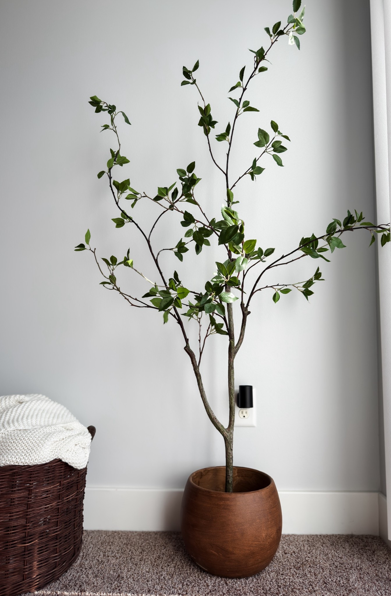 Realistic faux tree that's perfect for any corner. It's so affordable. 
I have the 5ft size. 


••home decor •neutral decor •organic modern home •moody decor •faux tree •cozy home decor 

#LTKSeasonal #LTKHome