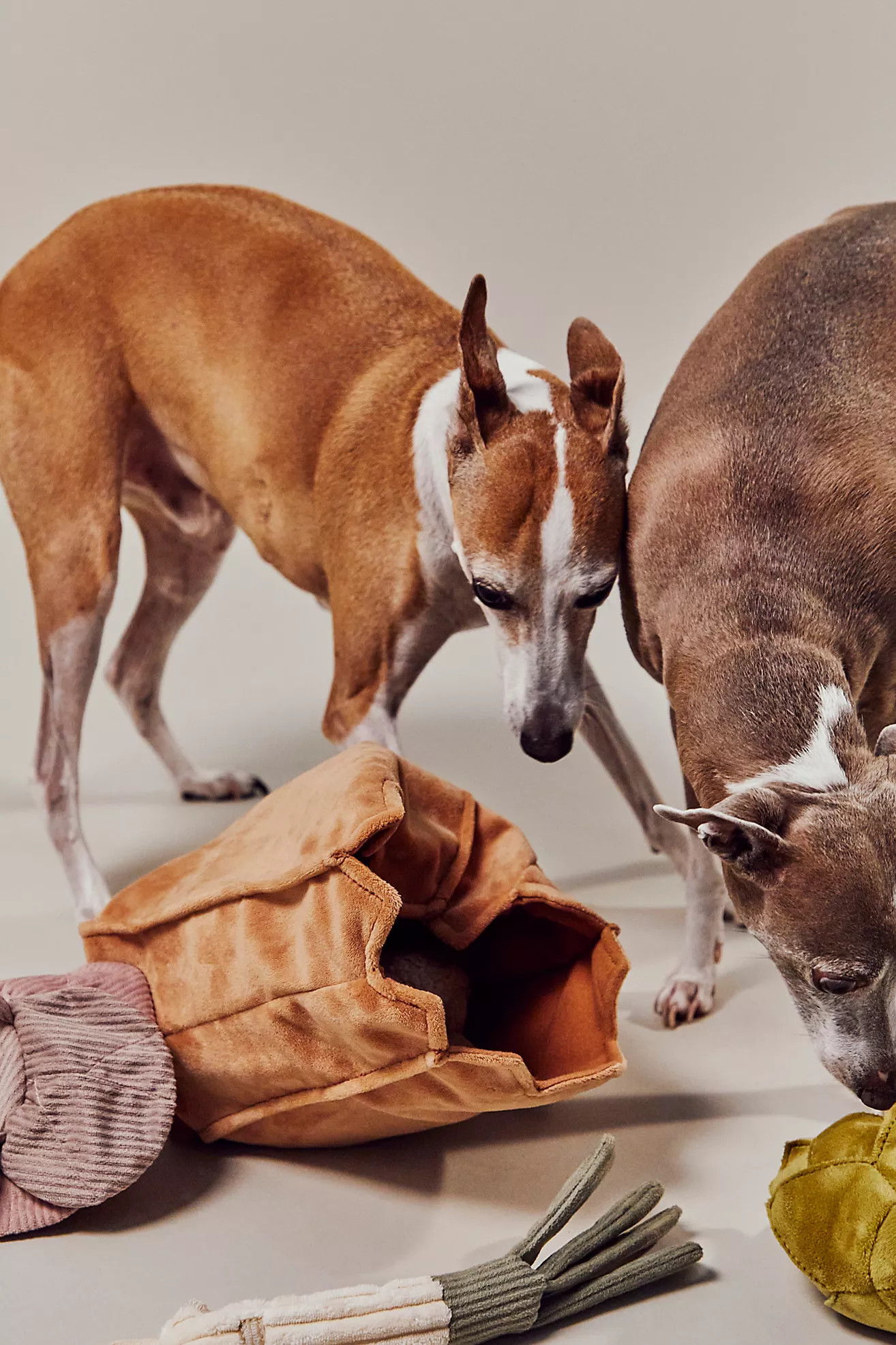 Lambwolf Farmers Market Toy Bundle | Free People (Global - UK&FR Excluded)