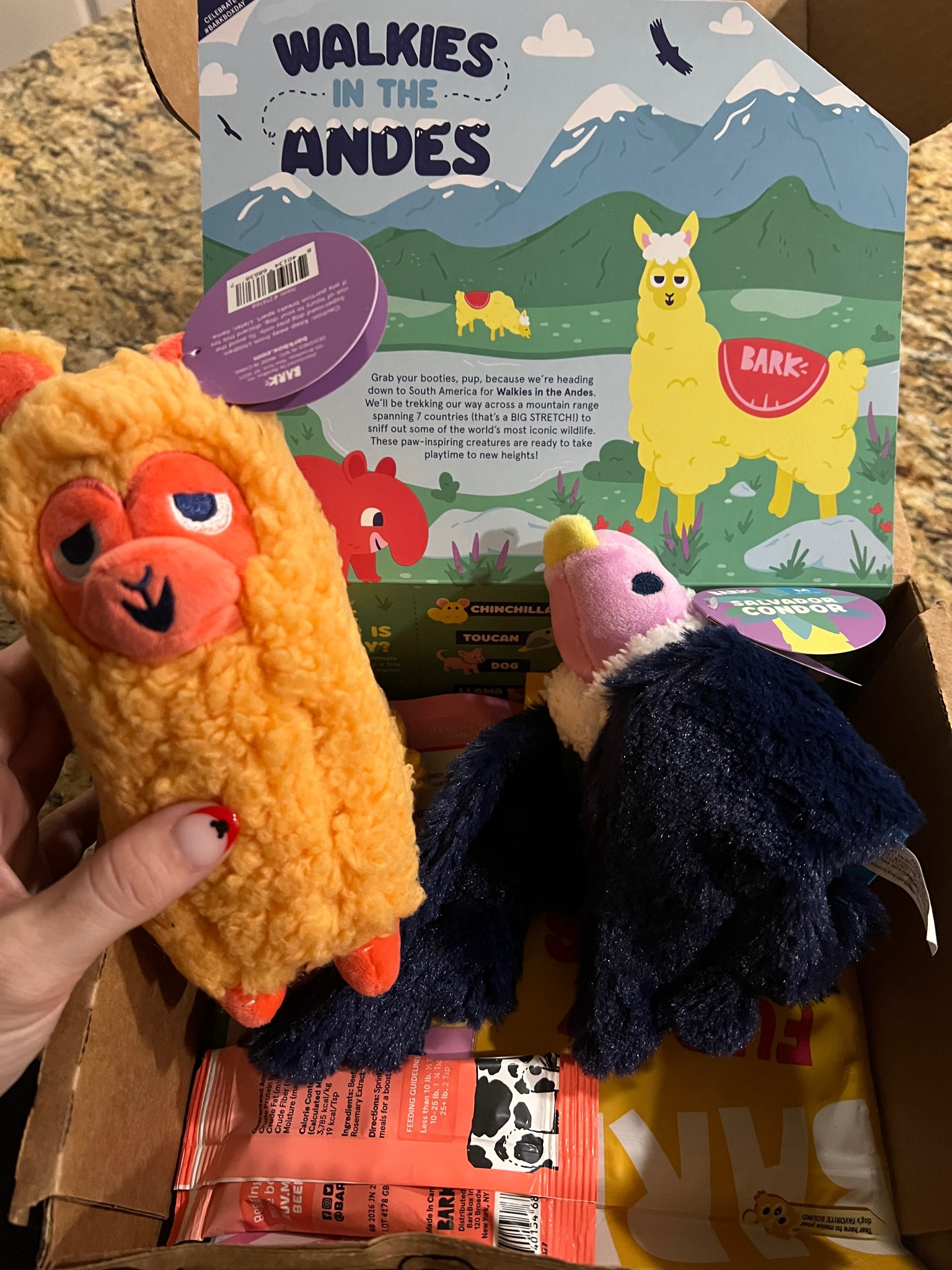 Another great BarkBox theme! This is our favorite pet subscription that we get🐶

#LTKFindsUnder50 #LTKHome