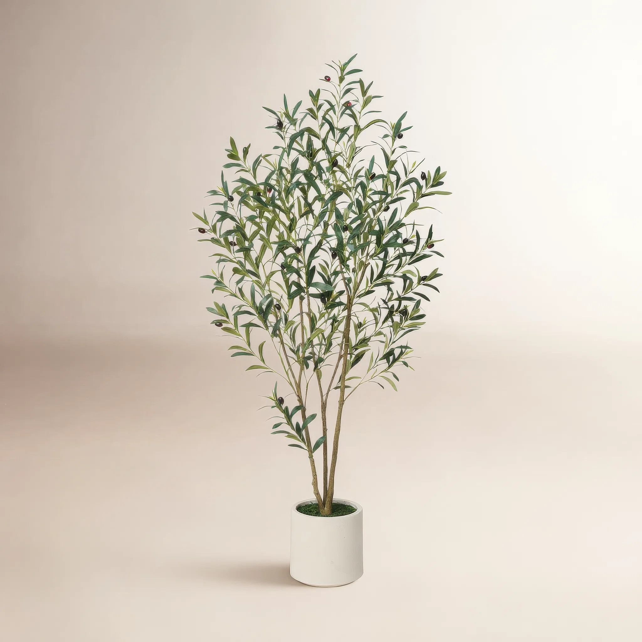 George Artificial Olive Tree in Round Planter, UV Protected Faux Olive Tree for Indoor Home Decor | Joss & Main