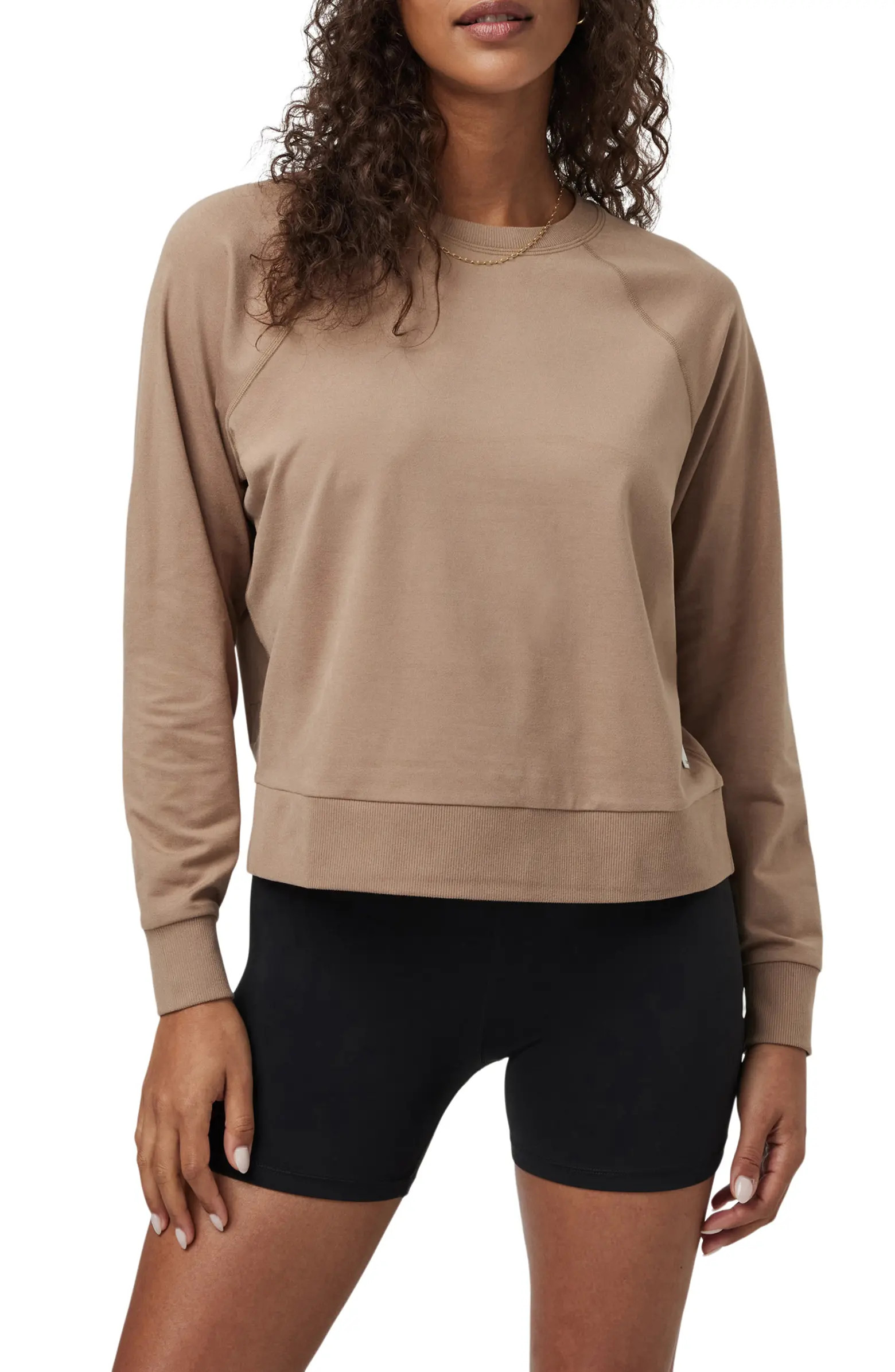 Long Sleeve Halo Crew Sweatshirt | Nordstrom