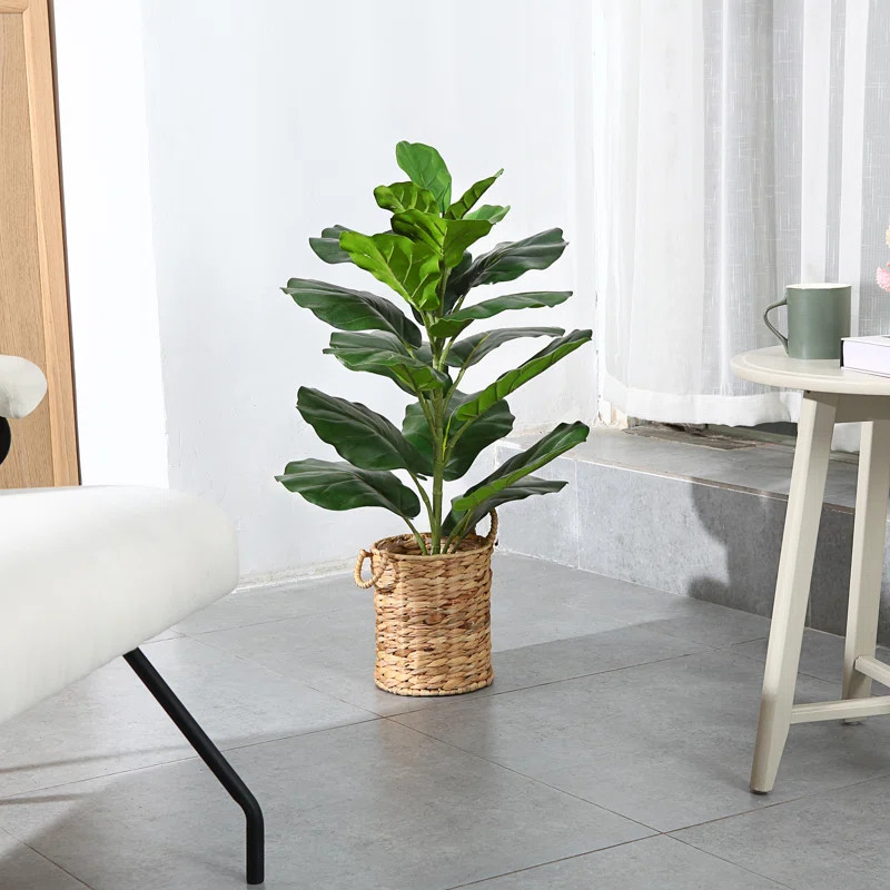Adcock Faux Fiddle Leaf Fig in Basket | Wayfair North America
