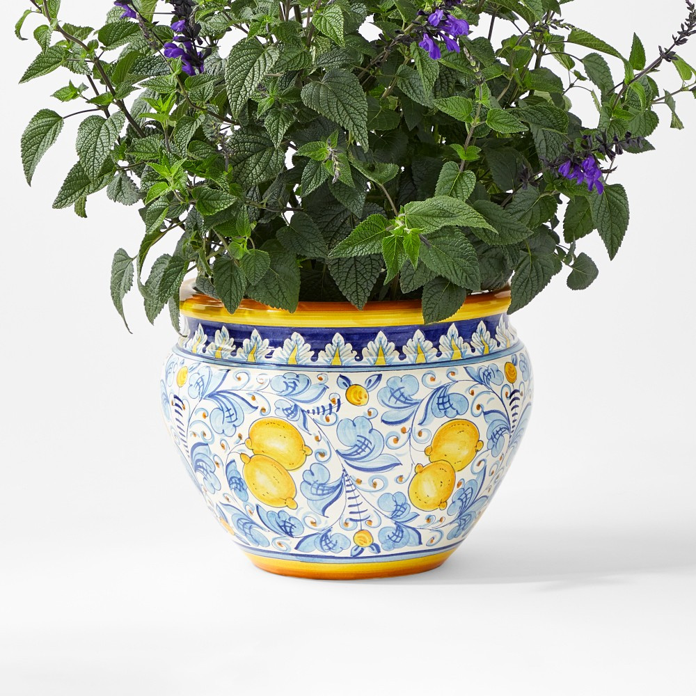 Italian Hand-Painted Planter Collection | Williams-Sonoma