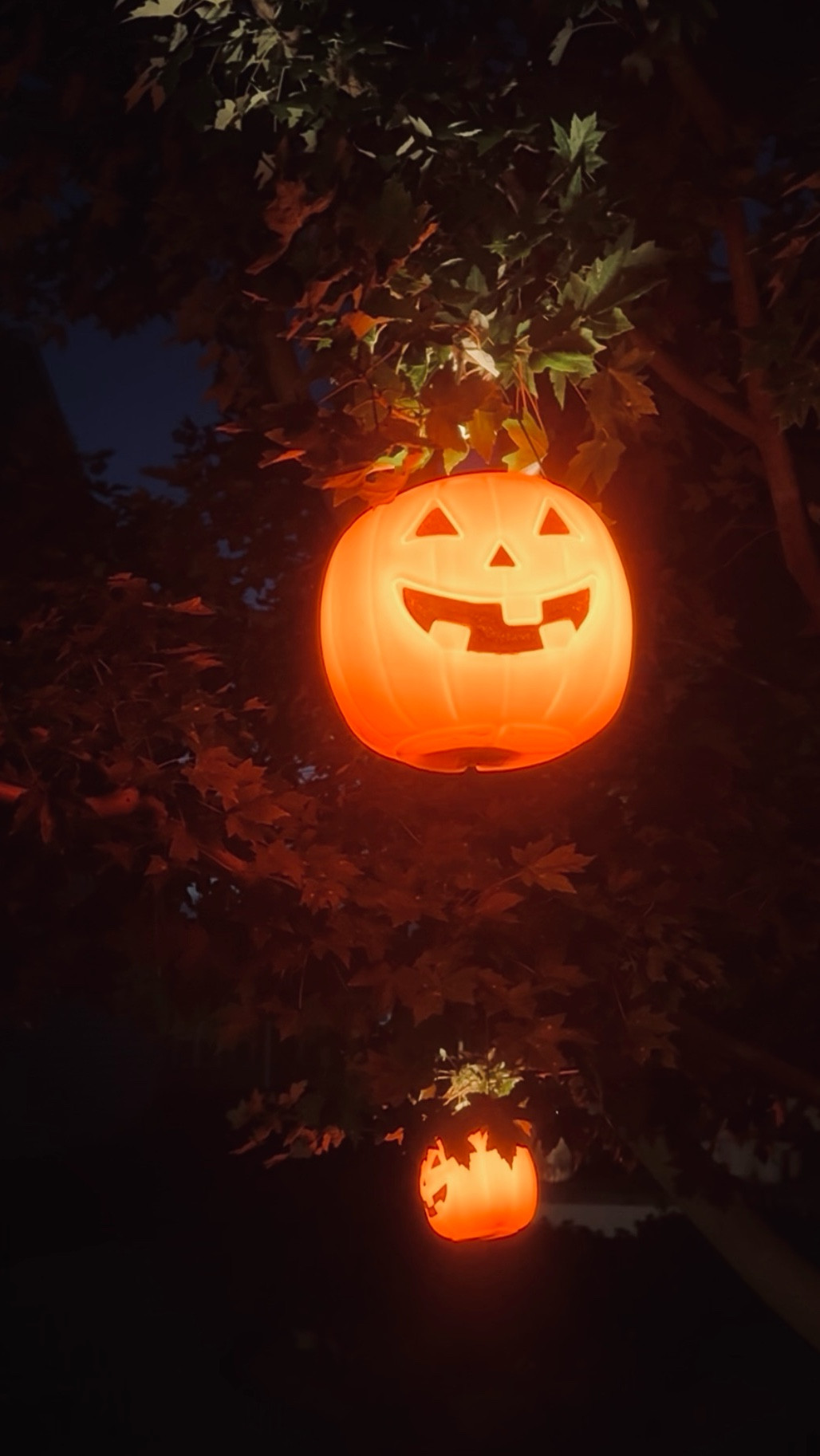 if you’re looking for a fun and easy way to decorate for Halloween, put $2 pumpkin pails in your tree and add some puck lights in each one. I’ve gotten so many compliments and my girls love them #halloweendecor #halloween

#LTKHome #LTKSeasonal