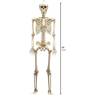 5 ft Pose-N-Stay Life Size Skeleton Full Body Realistic Human Bones with Posable Joints for Hallowee | Amazon (US)