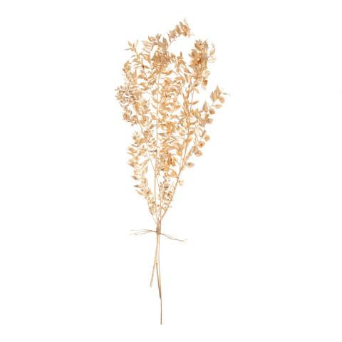 Gold Dried Ruscus Bunch | World Market