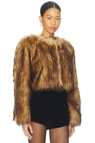 Gina Jacket in Brown | Revolve Clothing (Global)