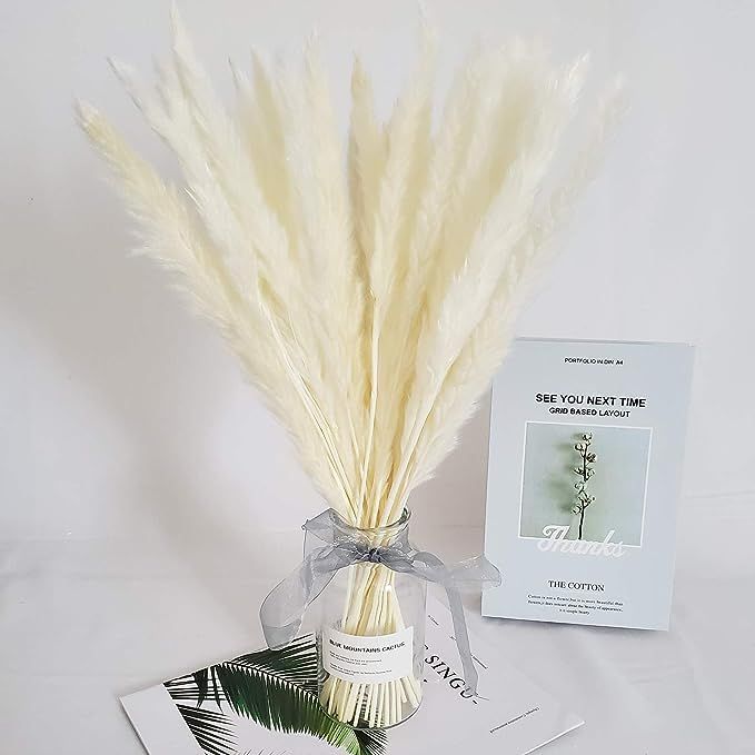 Belle Fleur 30 Pcs Natural Dried Pampas Grass Reed Grass Plume Dried Flower Phragmites Communis f... | Amazon (US)