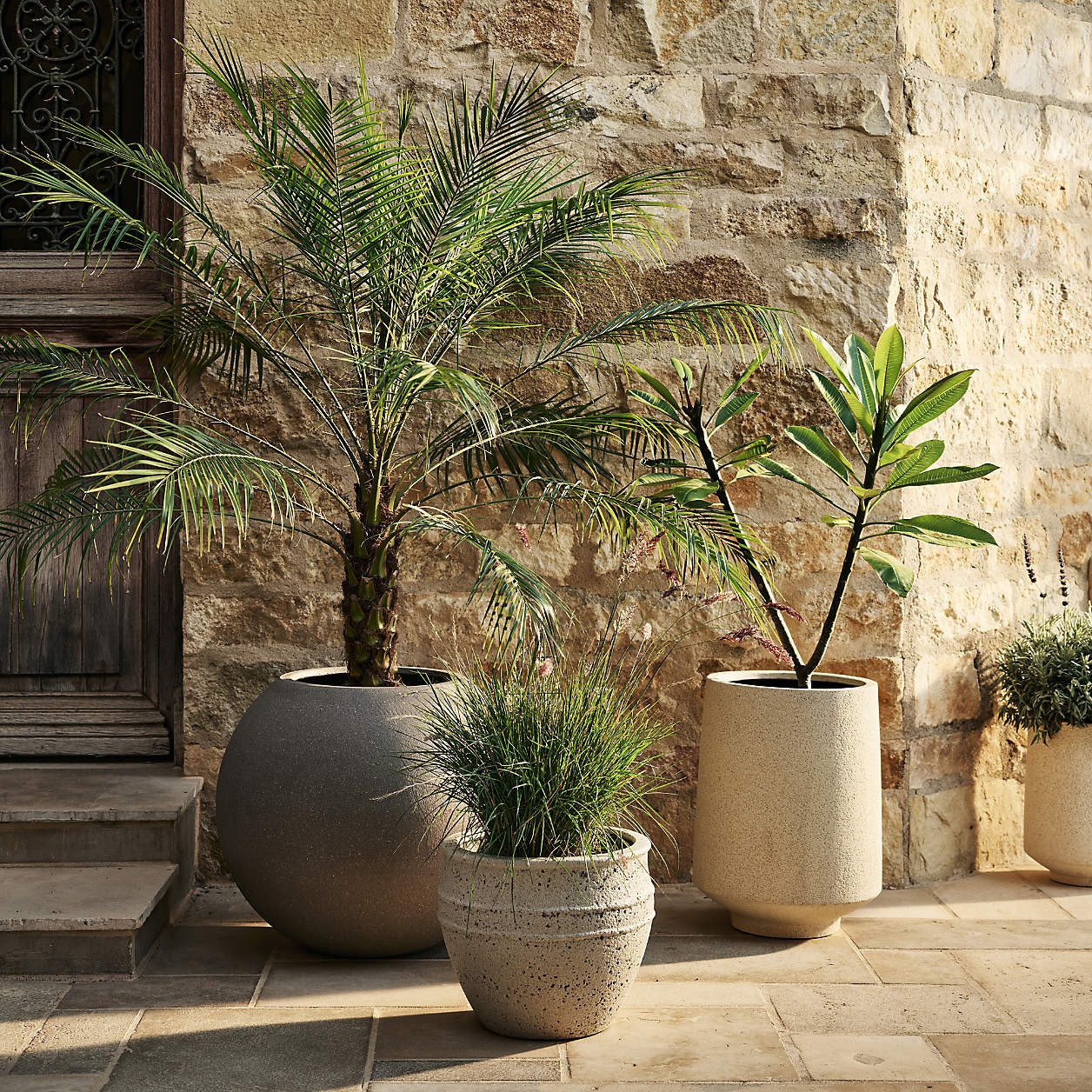 Sphere Large Dark Grey Indoor/Outdoor Planter 26" + Reviews | Crate & Barrel | Crate & Barrel