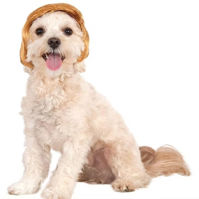 Rubie's Pawlitical Billionaire Dog Wig | Target