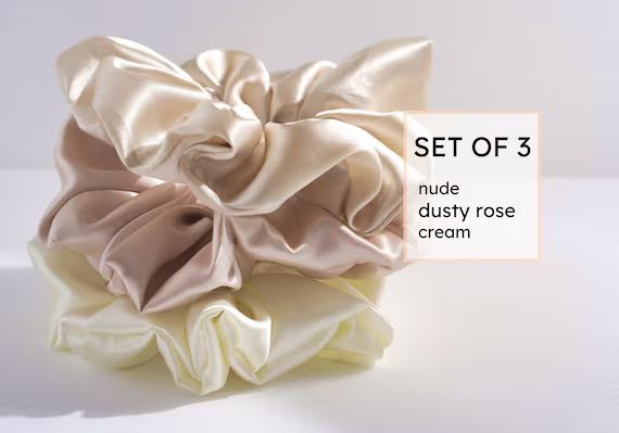 Pack Of 3 Scrunchie Hair Tie | Soft Satin Scrunchie | Nude Elastic Hair Tie Scrunchies | Skintone... | Etsy (US)