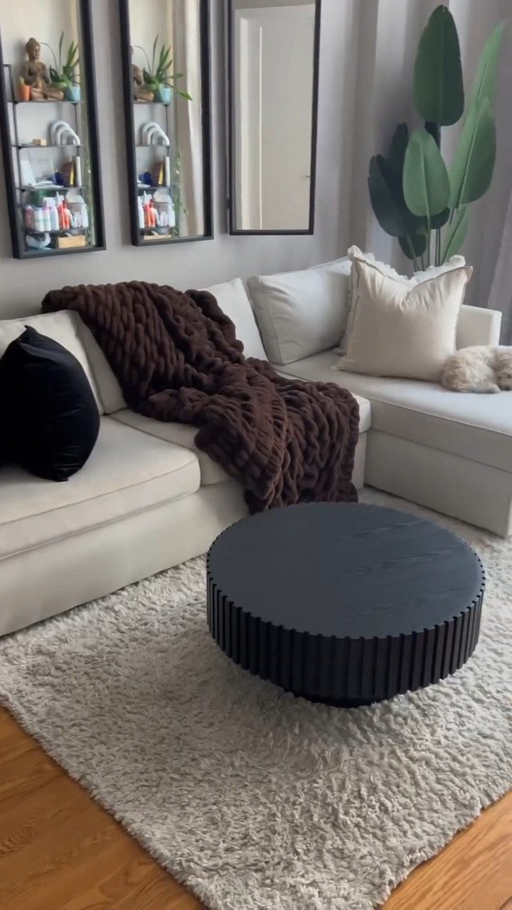 Please stay tuned for the video of me actually building this because you guys know I’m the biggest Non DIY girl to hit the internet and this had me crash out….just a little lol. Anyway😬⬇️

For those that have been keeping their eyes peeled (especially on IG), I mentioned how there will be living room upgrades in my NYC apartment this year!

We’re starting small with this fire, fluted black coffee table from Amazon. She is SO nice on the eyes and the perfect touch to elevate a small living space (modern, cozy, and neutral). Now I’m going to need help on the coffee table decor!

Shoutout to @methodproducts for always being my go to when it comes to surface cleaning! #coffeetable #livingroomdecor #livingroominspo #apartmentliving #apartmenttherapy #blackgirlhomedecor #blackgirltiktok
#nycliving