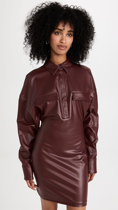 Stretch Faux Leather Collared Mini Dress | Shopbop