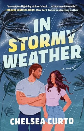 In Stormy Weather: A Novel | Amazon (US)