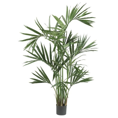 6ft. Kentia Palm Silk Tree | One Kings Lane
