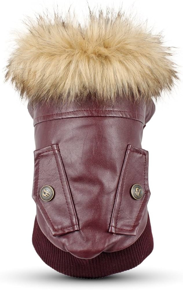 LESYPET Dog Leather Jacket, Winter Dog Coats Windproof Waterproof Warm Fleece Lined Jackets for S... | Amazon (US)