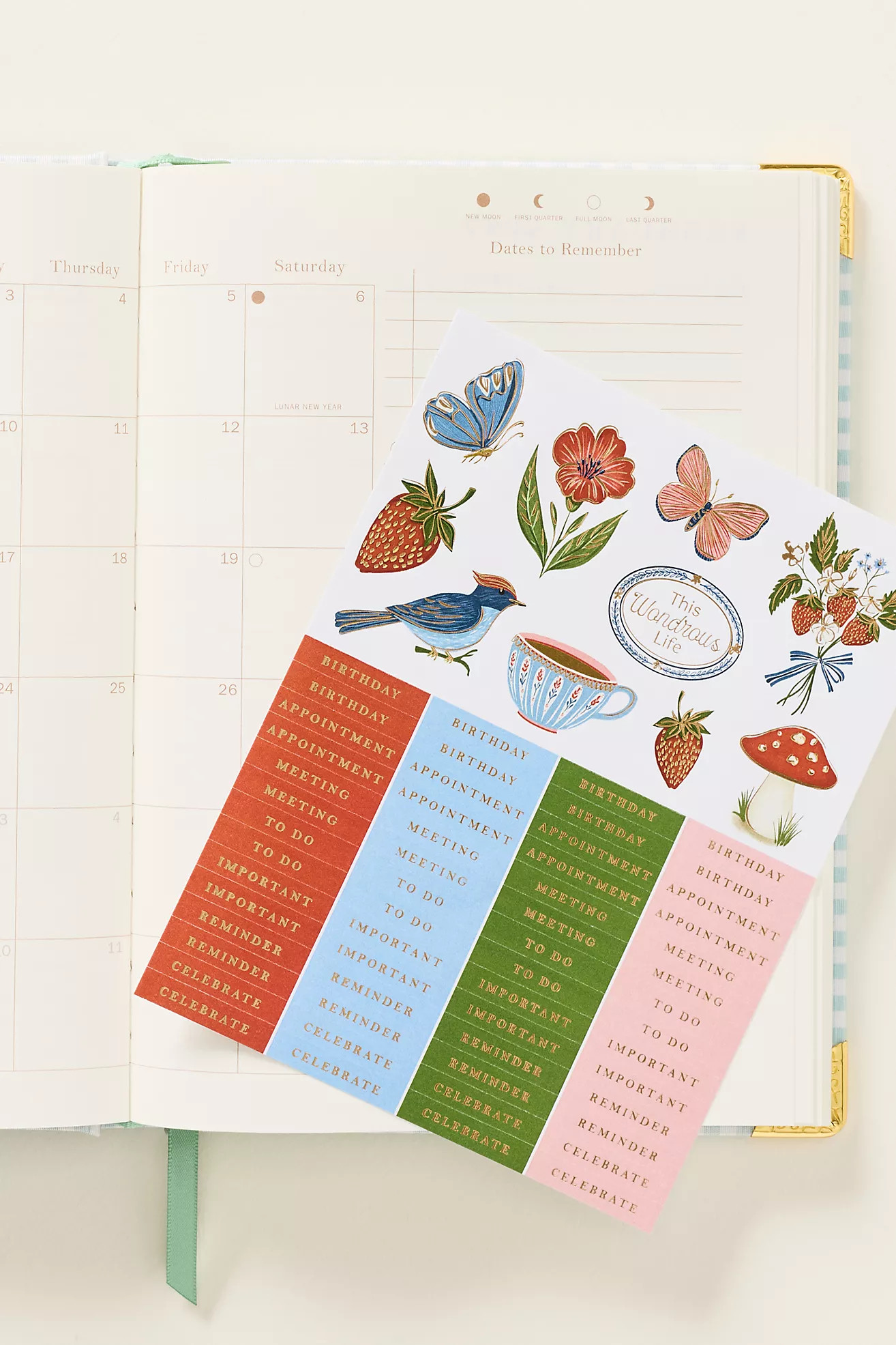 Checkered 17-Month Weekly Planner | Anthropologie (US)