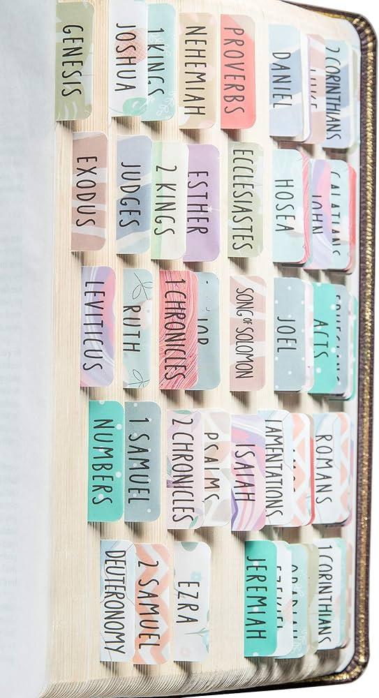 DiverseBee Laminated Bible Tabs (Large Print, Easy to Read), Personalized Bible Journaling Tabs, ... | Amazon (US)