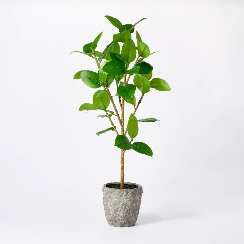 Banyan Tree Potted - Threshold™ designed with Studio McGee | Target