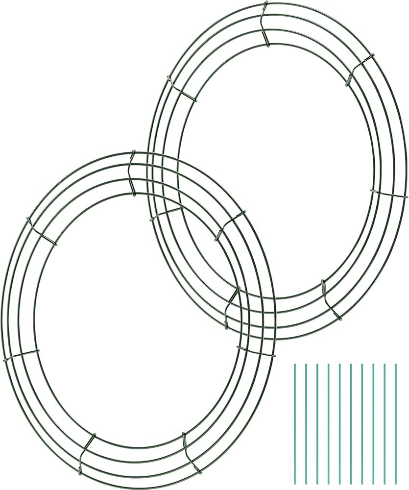 2-Pack 14 Inch Wire Wreath Frame – Round Metal Wreath Form with Ring Design for DIY Crafts, Flo... | Amazon (US)