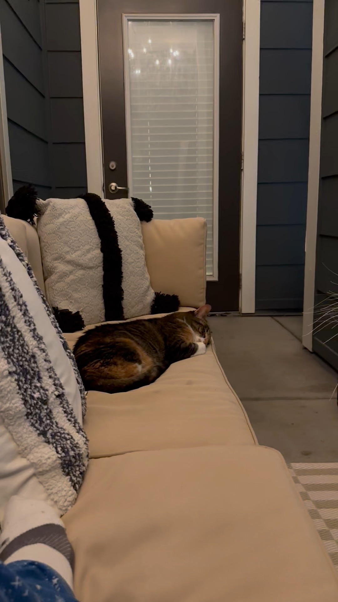 Patio nights 
Home

#LTKHome