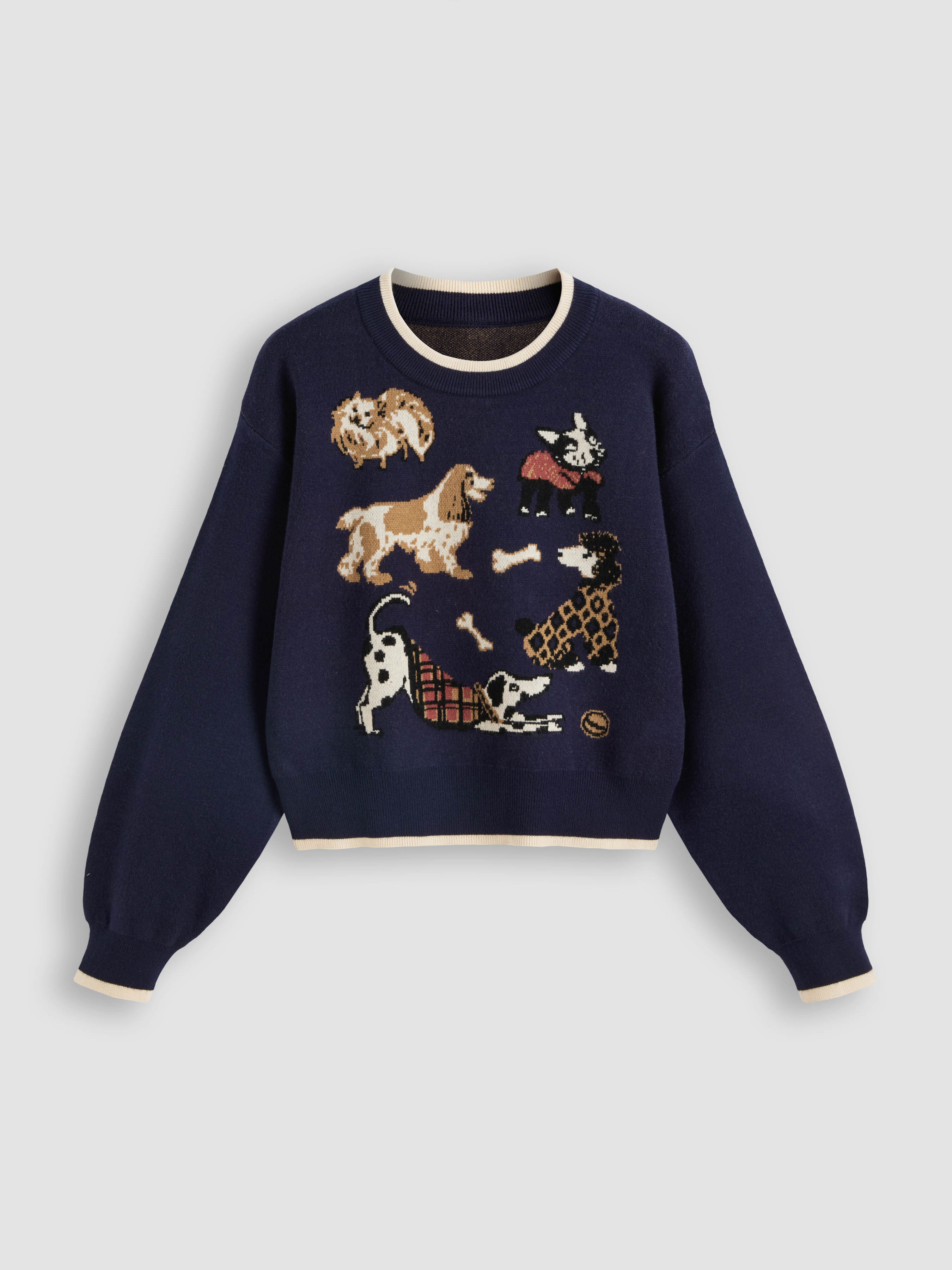 Countryside Core Knit Fabric Knit Round Neck Puppy Contrasting Binding Cropped Sweater For School... | Cider