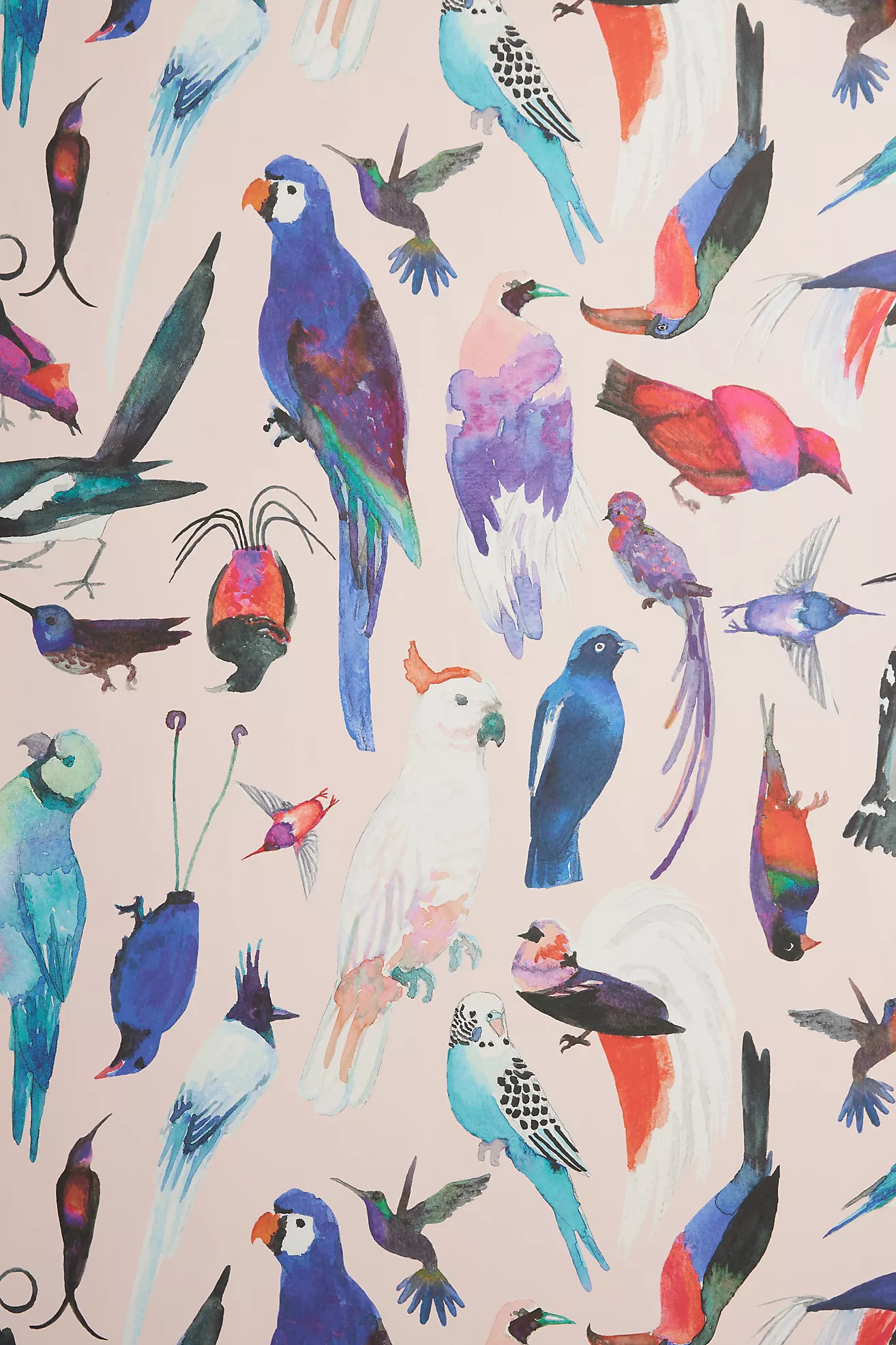 Paradise Birds Wallpaper | Anthropologie (US)