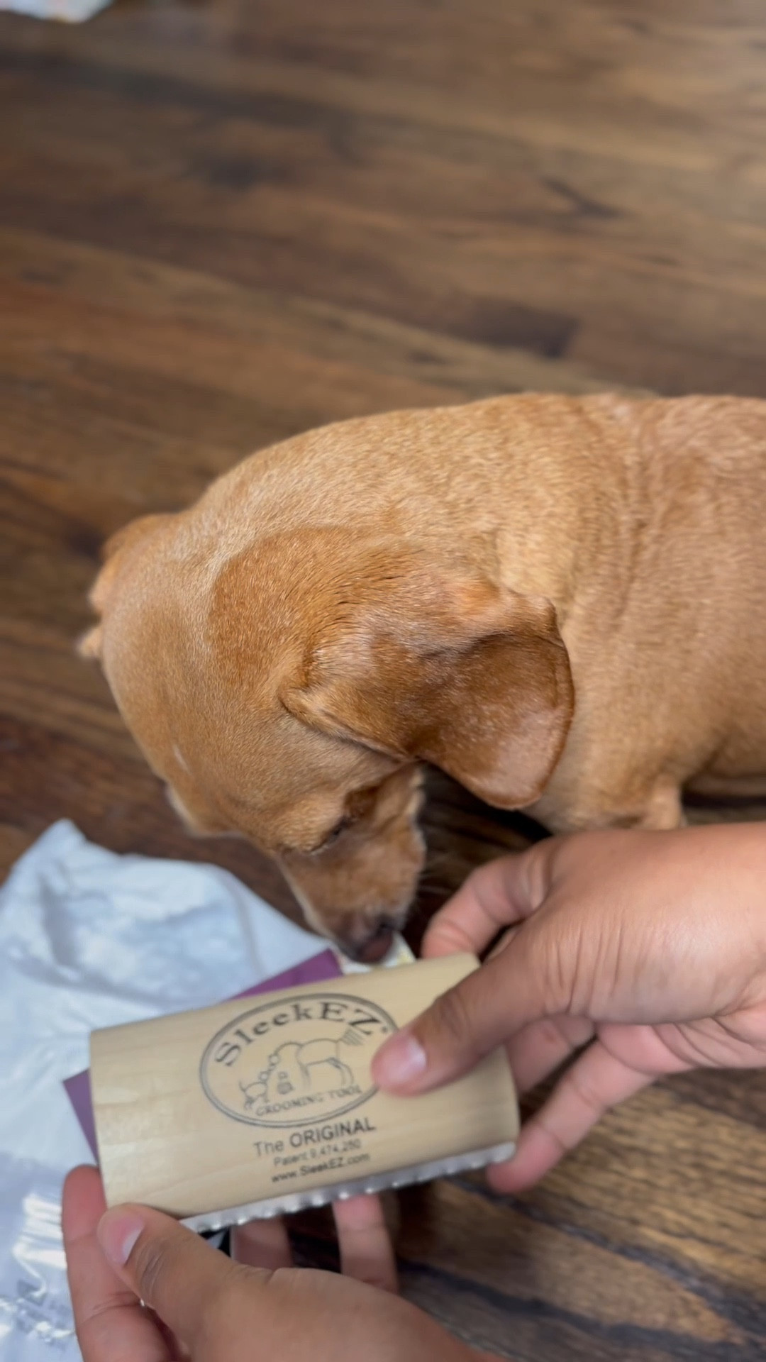 Nolan's first PR package! how'd he do?
We're obsessed with the SleekEZ! Hoodie szn might actually stand a chance this year with less hair floating around the house
This brush is a total game-changer: it cuts down on groomer trips, glides through his coat without tugging, and even works as a carpet rake (yes, seriously). Efficient, gentle, and so easy to clean.
10/10 for both pup and parent.
+ #fyp
#sleekezgroomingtool #sleekez #doxie #dog